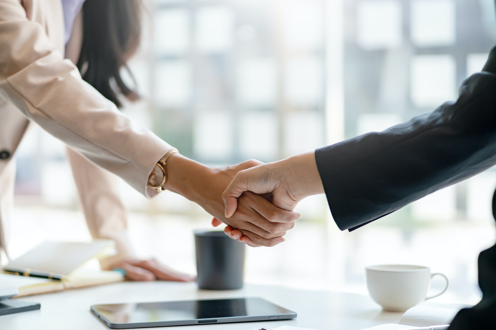  Legal Setup & Advisory